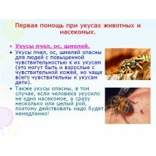 Первая помощь при укусах насекомых