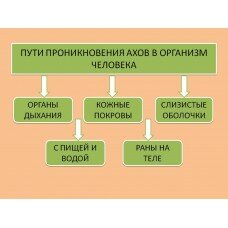 Отравляющих веществ в организм человека